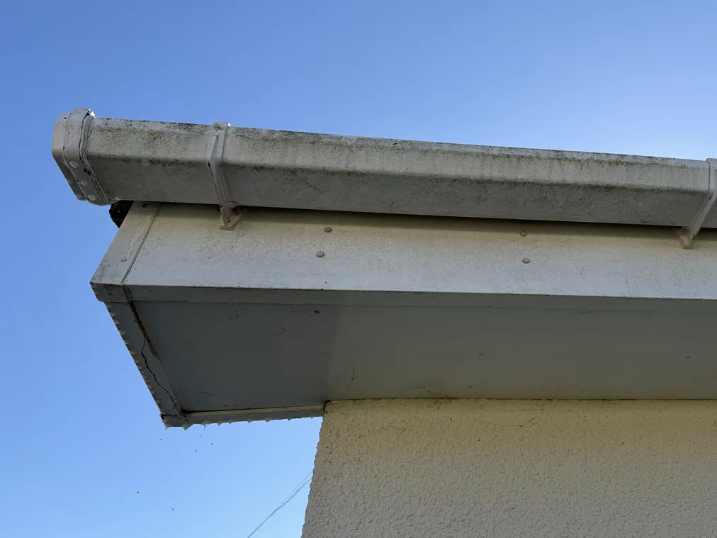 A gutter, fascia and soffit before cleaning, streaked green and grey