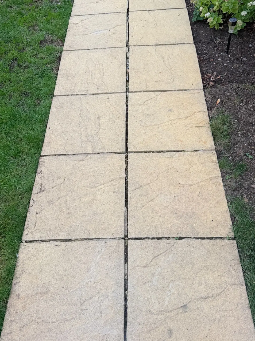 A paved garden path before cleaning, dark streaks across the slabs and weeds in the joints