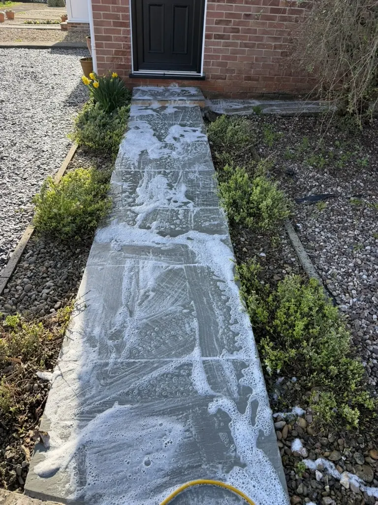 A front path covered in biocide treatment